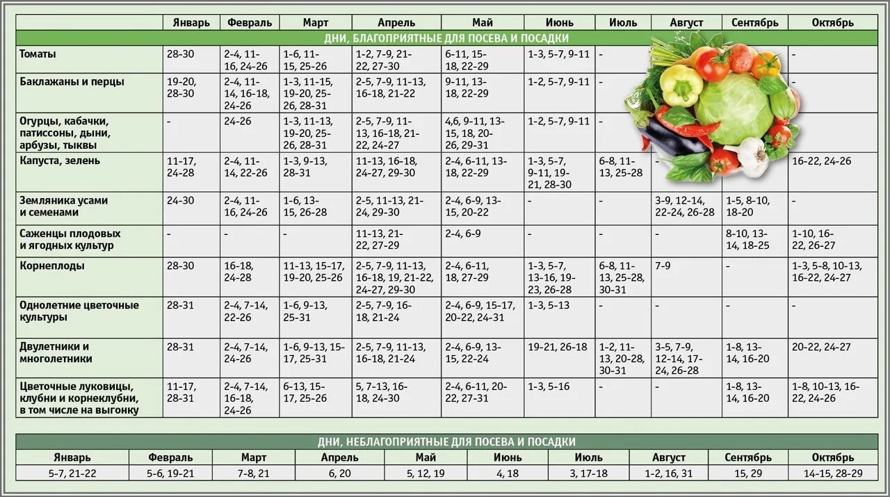 Посадочный календарь на октябрь месяц 24 года Посевной календарь на июль месяц 2024