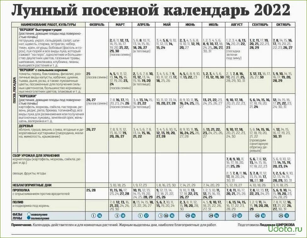 Посадочный календарь на сентябрь 2024 года благоприятные Пикировка по лунному календарю апрель 2024