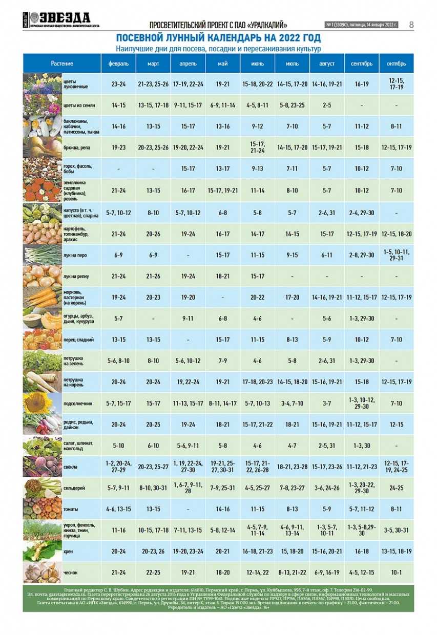 Посадочный календарь на сентябрь 2024 года чеснока Лунный календарь пермский край: найдено 77 изображений