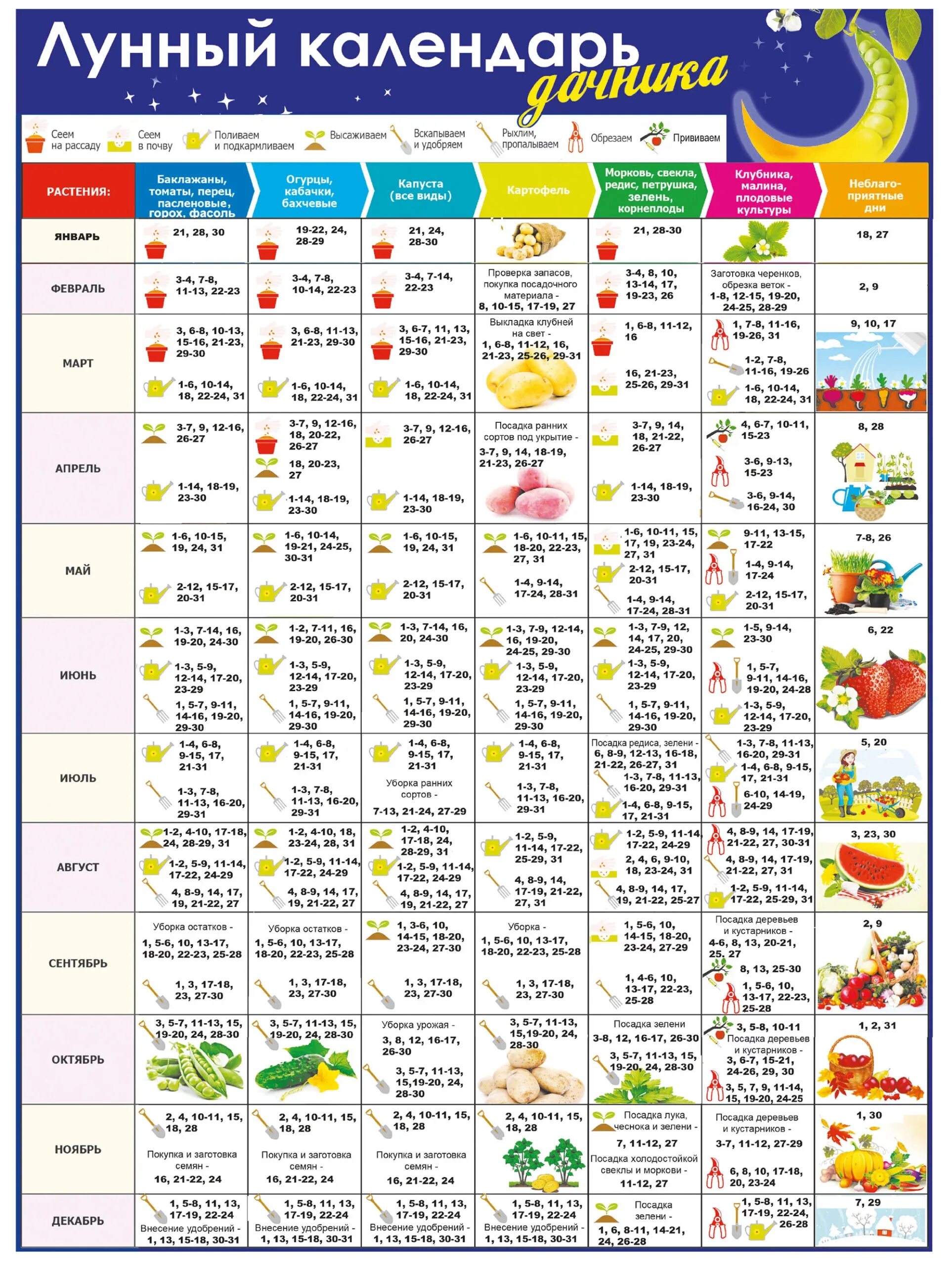 Посадочный календарь на сентябрь 24 года лунный Лунный календарь дачника на 2024 год - Моя Околица