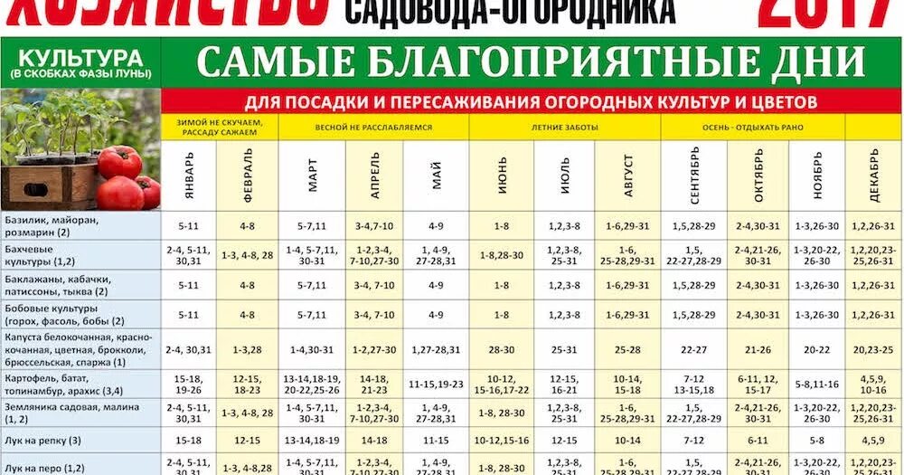 Посадочный календарь огородника на 2024 год Календарь садовода огородника на апрель 2024 года: найдено 72 изображений