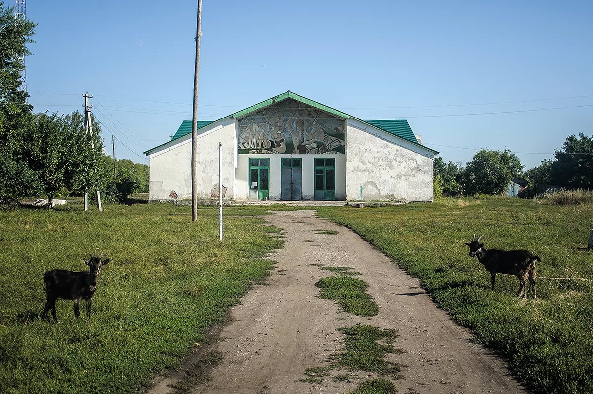 Поселки тамбовской области фото Поселок тамбовский