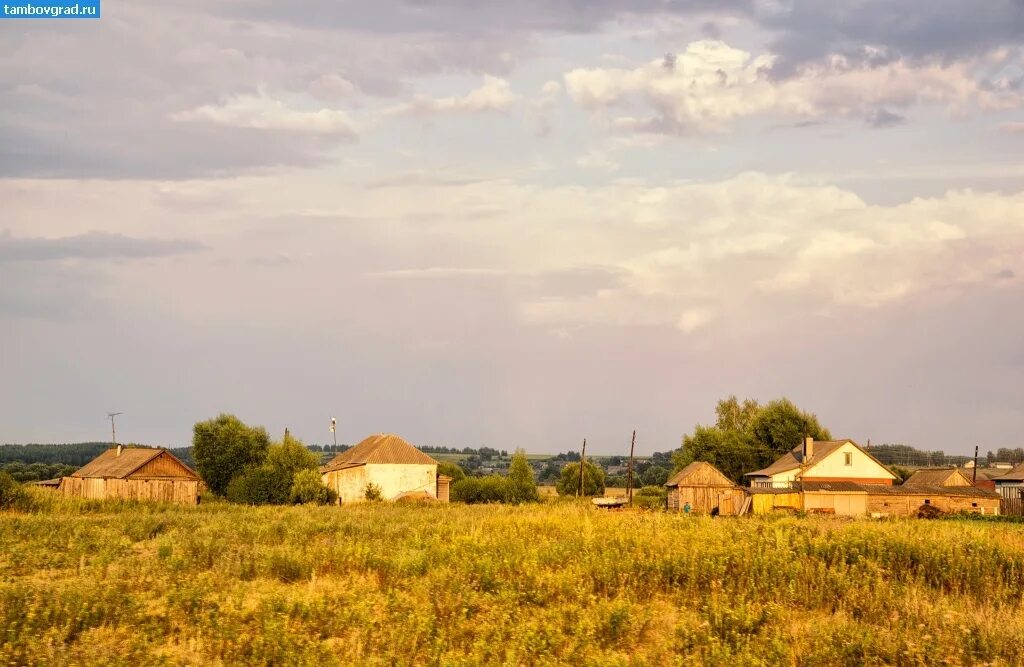 Поселки тамбовской области фото Village VVEDENKA (VVEDENskaya), Pichai district The village of Vvedenka (Vvedens