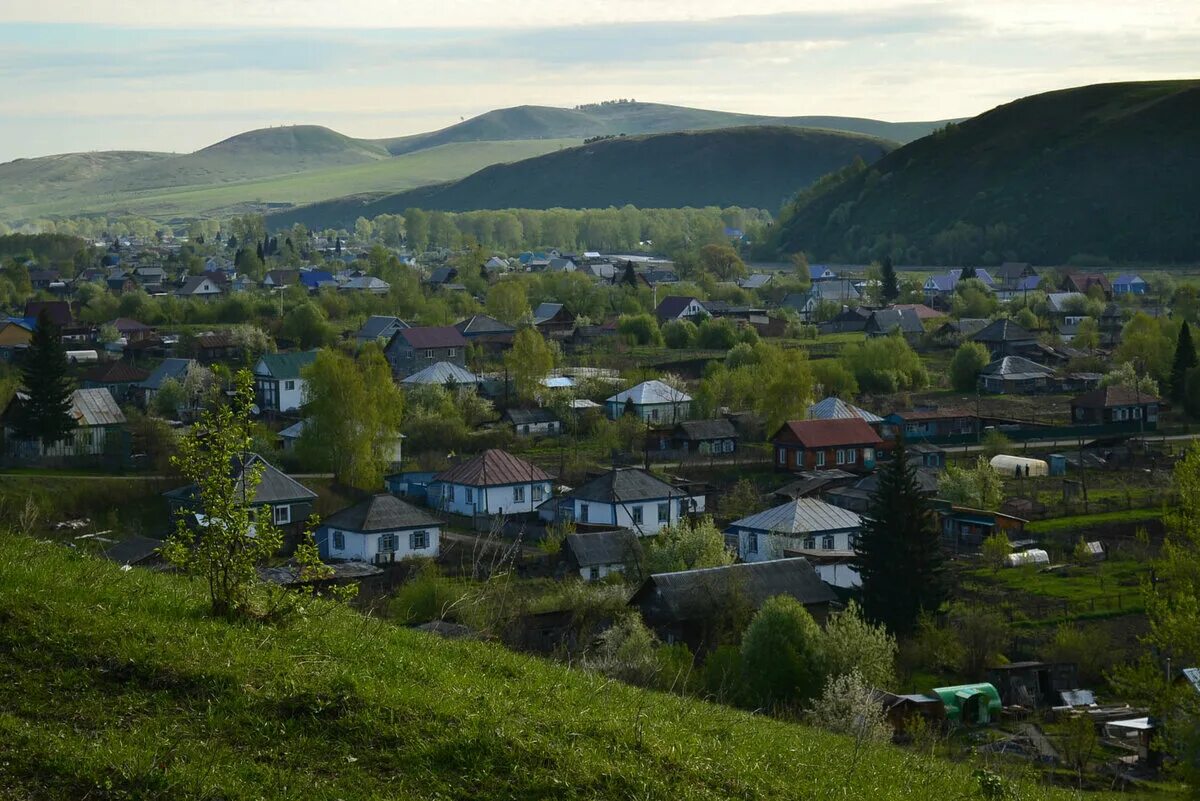 Поселок алтайский алтайский край фото Как выглядит самое алтайское село на свете и зачем туда ехать Дзен здорового чел