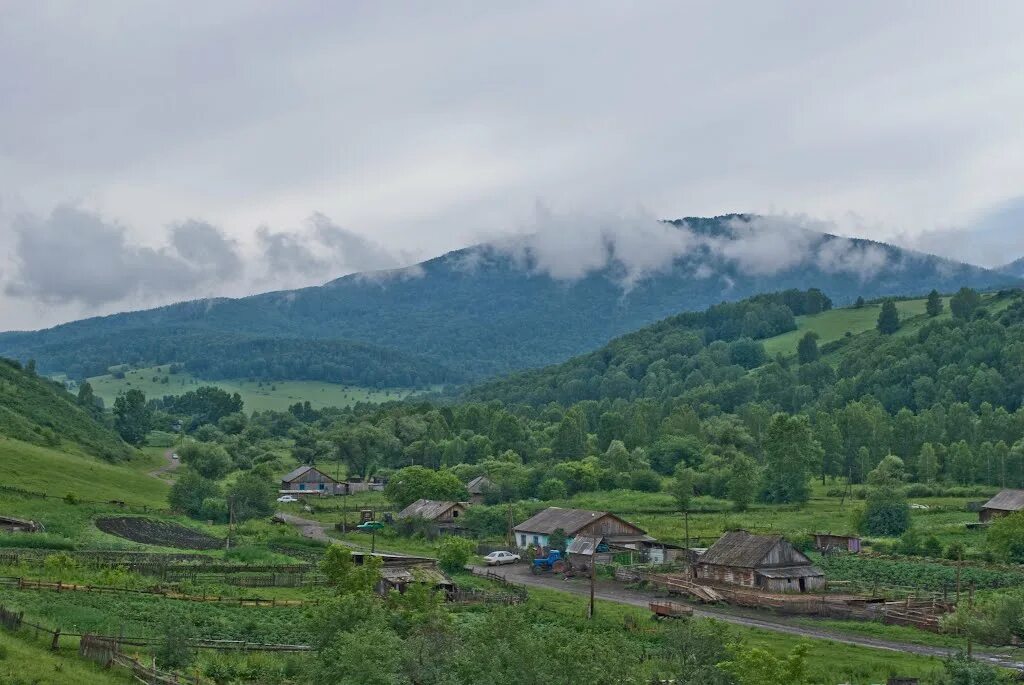 Поселок алтайский алтайский край фото Алтайский район - блог Санатории Кавказа