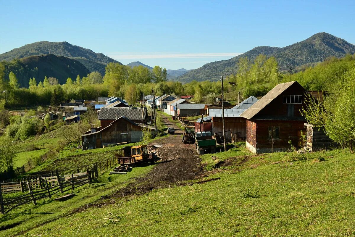 Поселок алтайский алтайский край фото Как выглядит самое алтайское село на свете и зачем туда ехать Дзен здорового чел