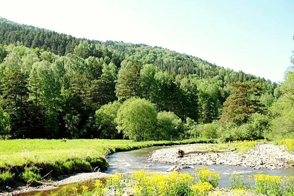 Поселок алтайский алтайский край фото Продам земельный участок ижс в районе Алтайском 900.0 сот 22000000 руб база Олан