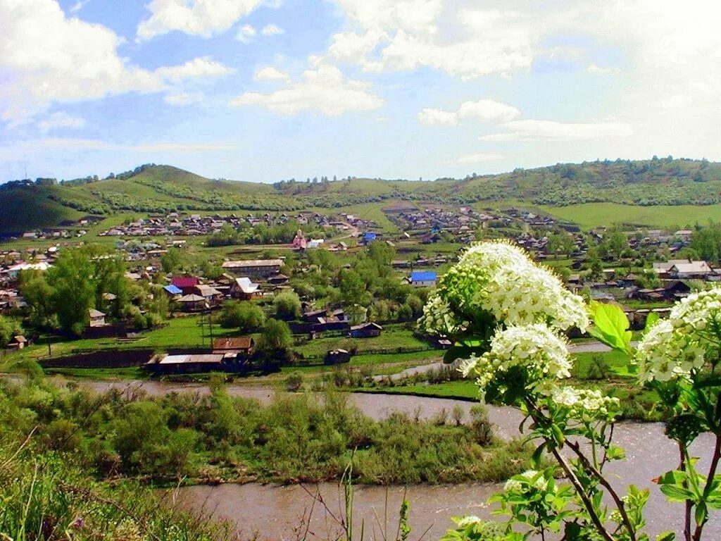 Поселок алтайский алтайский край фото Солонешенский район Весь Алтай