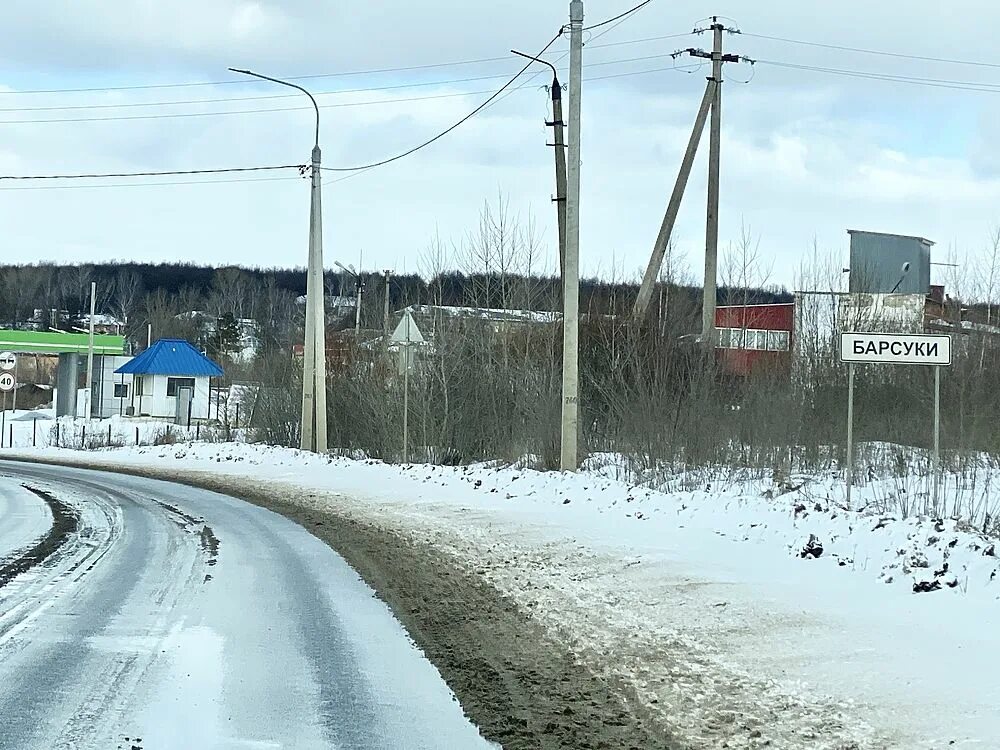 Поселок барсуки фото Как живут поселки Тульской области: Барсуки