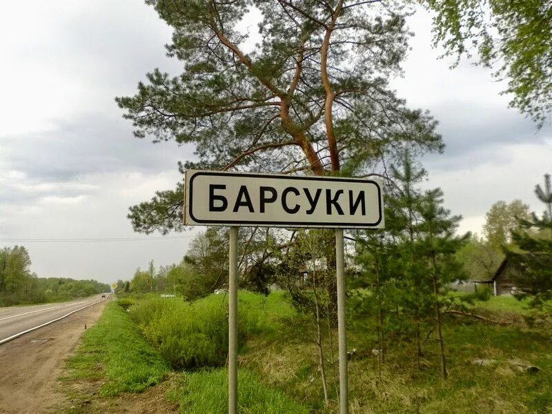 Поселок барсуки фото Тульская ленинский барсуки