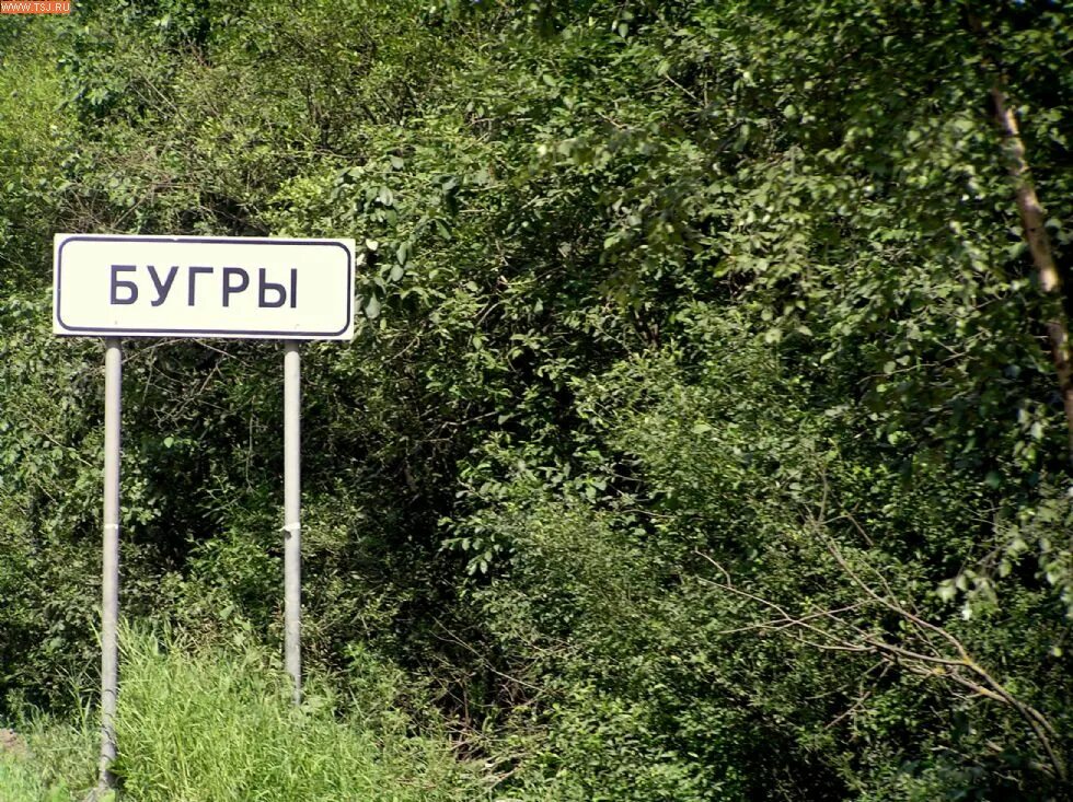 Поселок бугры ленинградская область фото Бугры. По дороге в ЖК "Северные высоты"