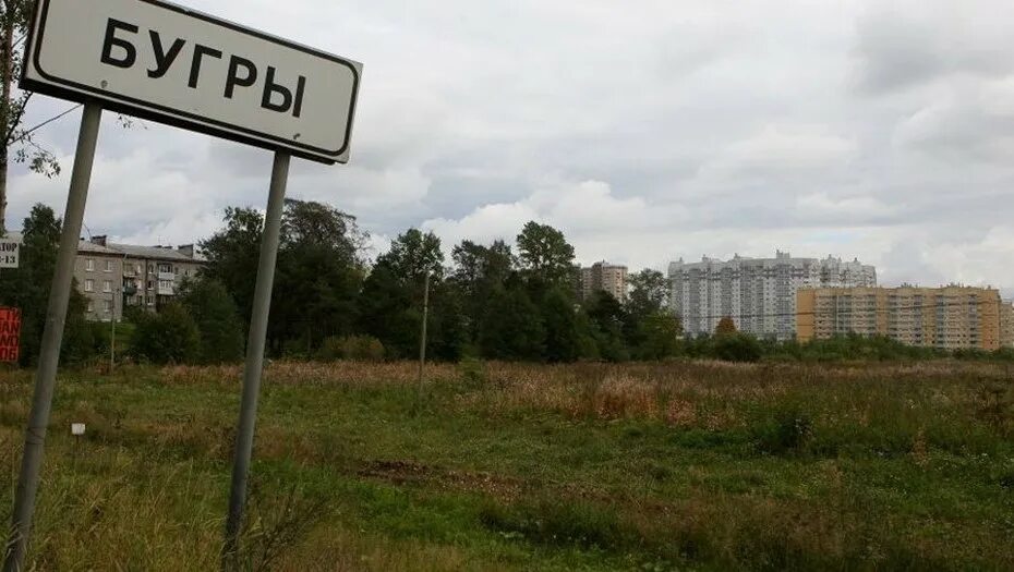Поселок бугры ленинградская область фото Посёлку Бугры к северу от Петербурга присвоили статус города