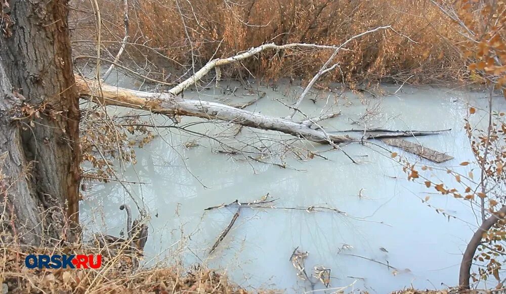 Поселок елшанка орск фото Молочная река - орские берега: вода в Елшанке вновь неестественного цвета - Орск