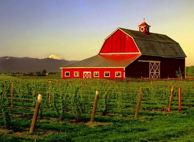 Поселок ферма фото Simplicity is Happiness Old barns, Barn pictures, Barn photography