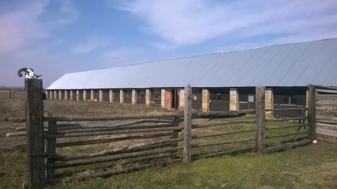 Поселок ферма фото Животноводческая ферма в Саратове - Барахолка бизнес бизнес на продажу