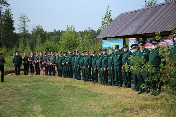 Поселок фокинское лесничество фото искорка Акция "Живи, родник лесной!" - Фотография 2 из 80 ВКонтакте