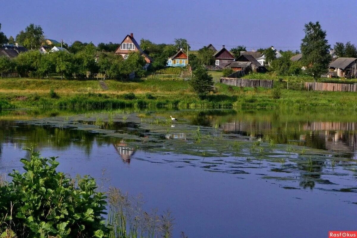 Поселок фото беларусь Земля наш общий, но мы не одни в нём живём"-информационный час 2023, Сабинский р