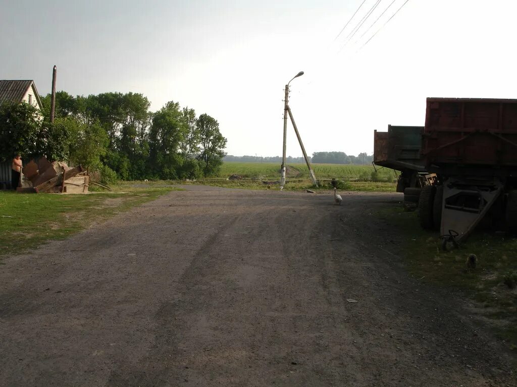 Поселок глушково фото Фото глушково в городе Глушково