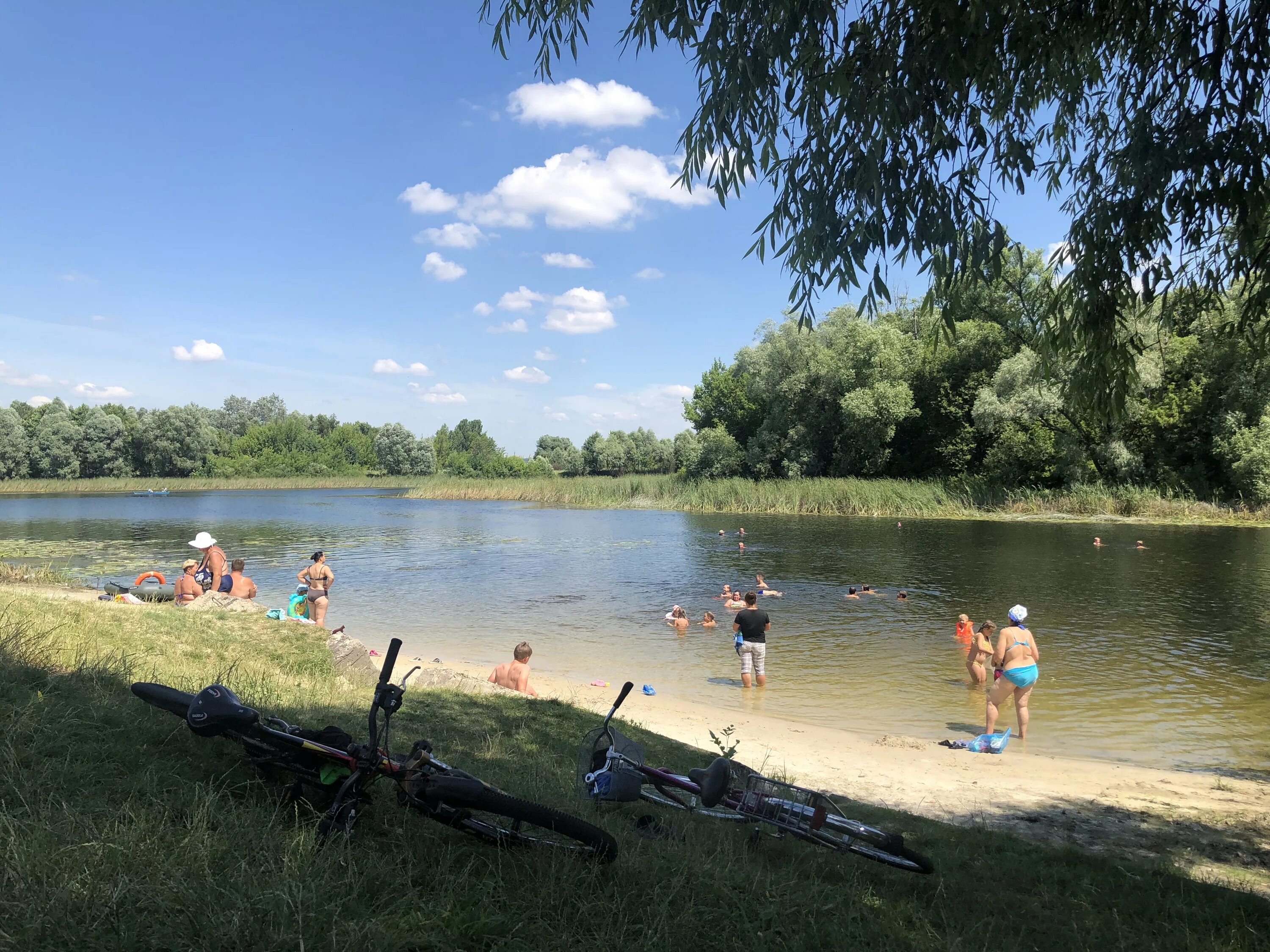 Поселок глушково курская область фото Фото: Городской пляж Глушково, пляж, Курская область, муниципальное образование 