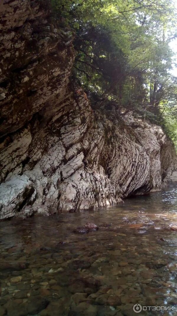 Поселок хоста краснодарский край фото Отзыв о Пляжи поселка Хоста (Россия, Краснодарский край) спокойный отдых