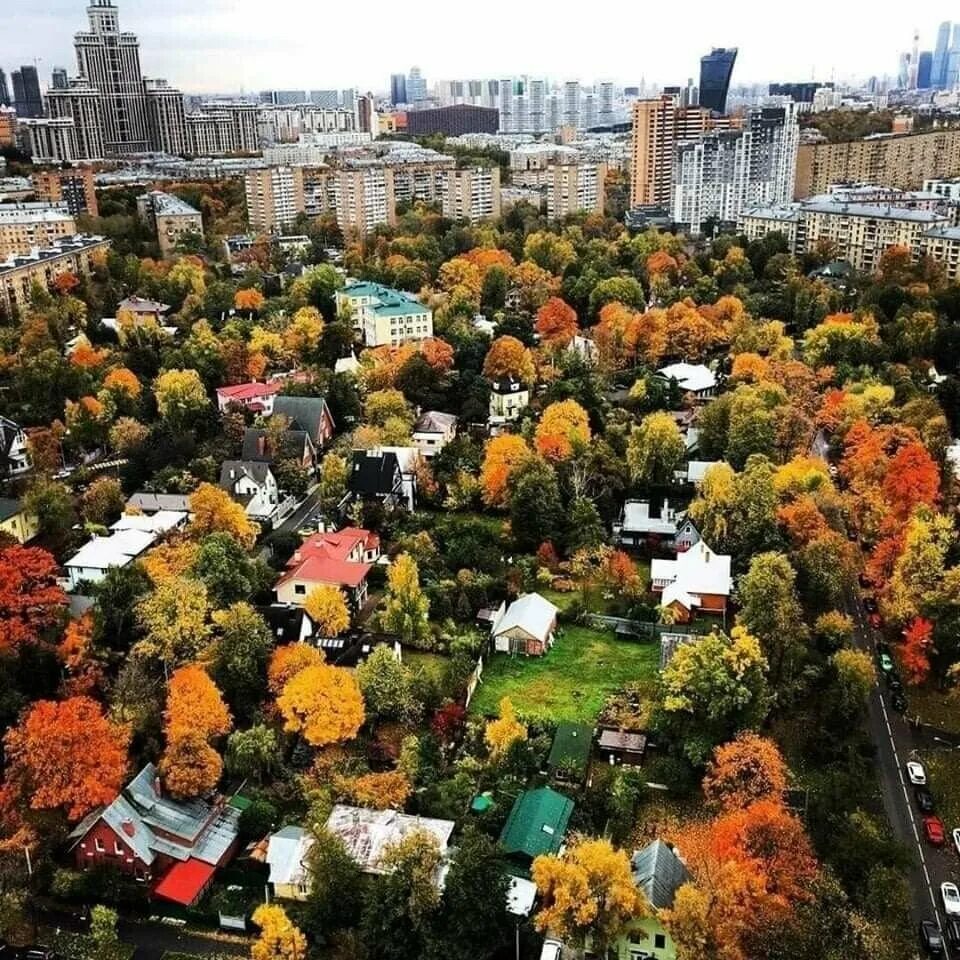 Поселок художников москва фото Поселок художников. Город в городе. Лекторий Dостоевский Дзен