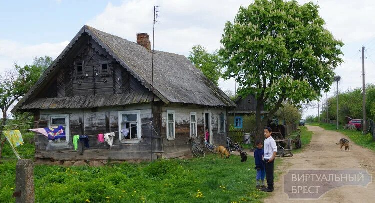 Поселок каменецкий фото Лекарство от депрессии: деревня Любашки Каменецкого района