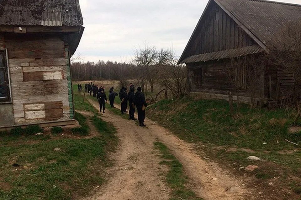 Поселок каменецкий фото Прочесывают каждый кустик и каждый заброшенный дом". В Каменецком районе ищут дв