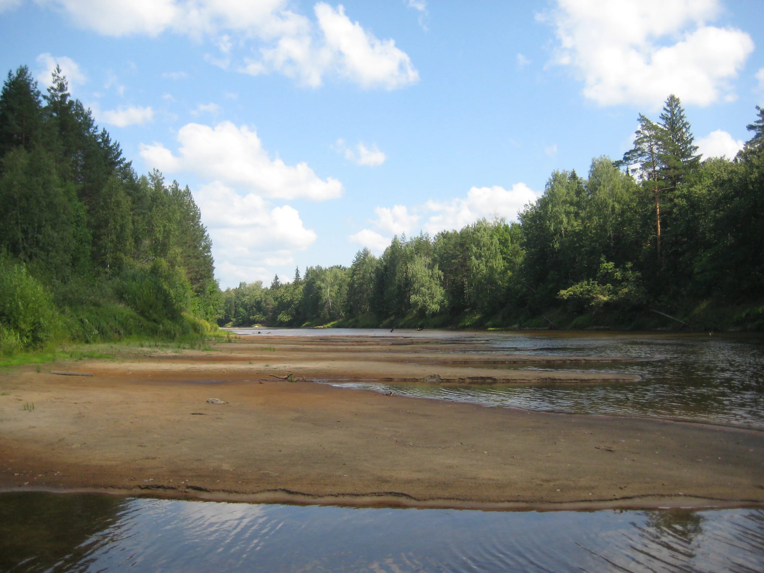 Поселок керженец нижегородская область фото Река Керженец (71 фото)