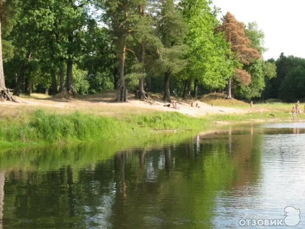 Поселок керженец нижегородская область фото Отзыв о Поселок Керженец (Россия, Нижегородская область) Хороший посёлок