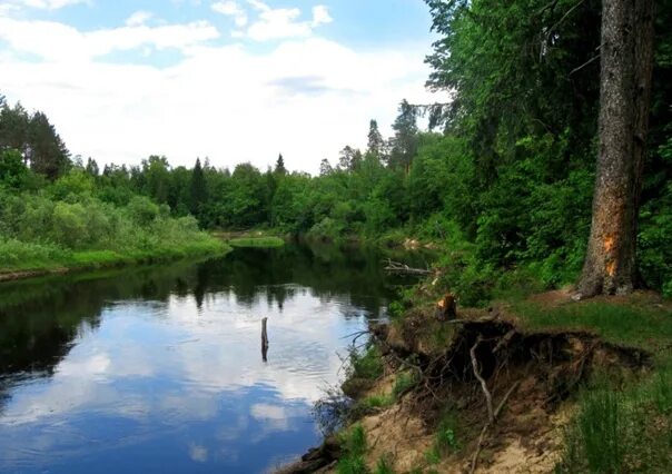 Поселок керженец нижегородская область фото Бору р