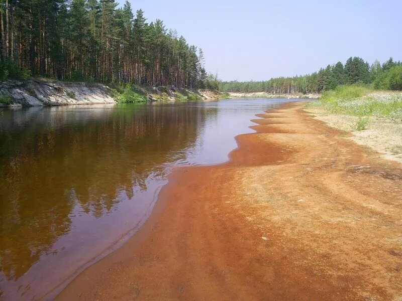 Поселок керженец нижегородская область фото Россия, Нижегородская область. Река Керженец в дремучих Керженских лесах. 2023 Т