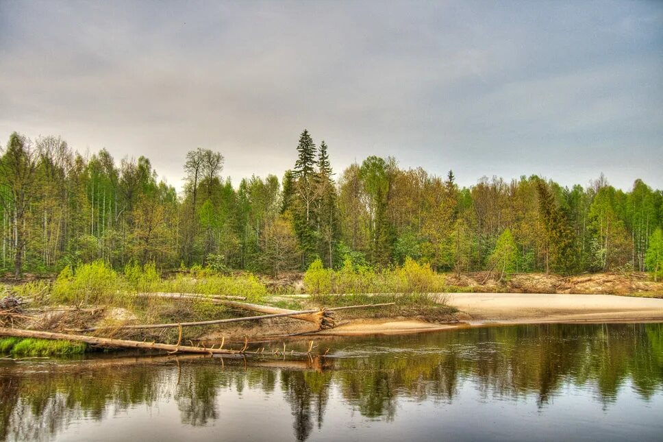 Поселок керженец нижегородская область фото Керженец фото YugNash.ru