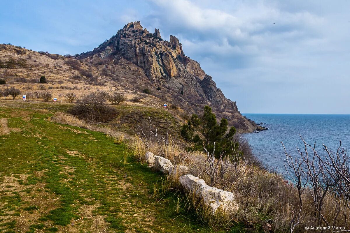 Поселок курортное крым фото Про теплую крымскую зиму Дневник отчаянных пенсионеров Дзен