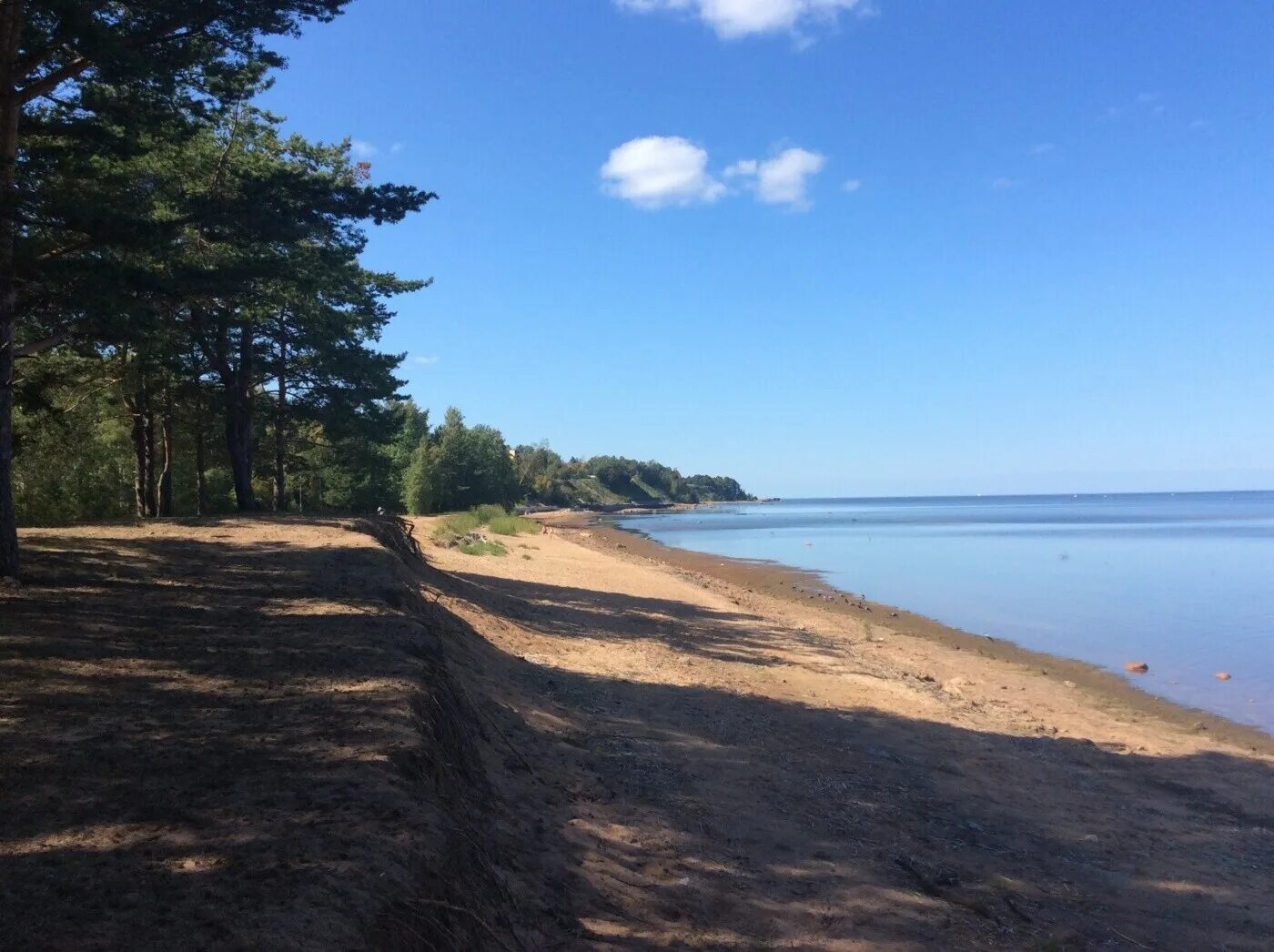 Поселок лебяжье ленинградской области фото Лебяжье ломоносовский район фото YugNash.ru