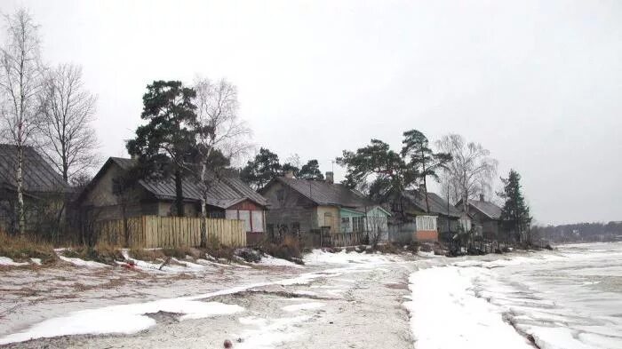 Поселок лебяжье ленинградской области фото Pilot village (Lotsmanskoye) - Lebyazhye