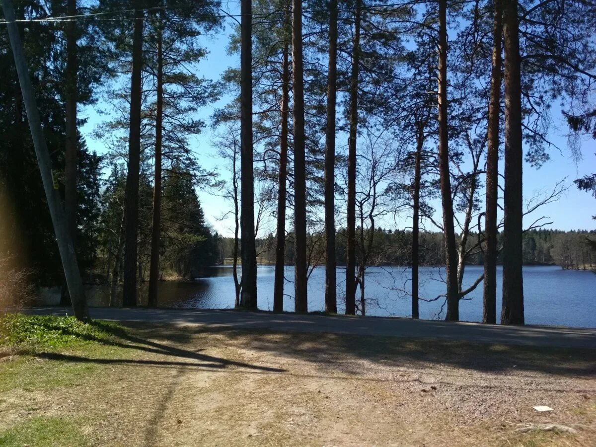 Поселок лебяжье ленинградской области фото Купить Загородный дом 140 кв.м с участком 15 сот. в Выборгский район Ленинградск