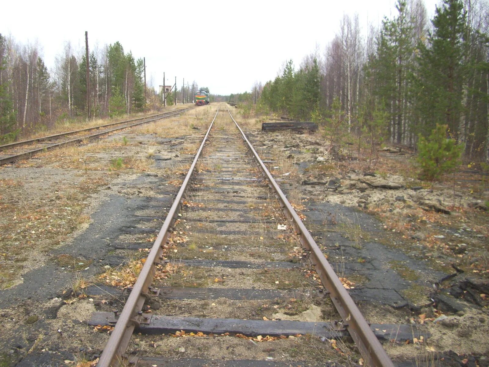 Поселок ледмозеро заключенные 1974г фото Погода в муезерском районе рп5