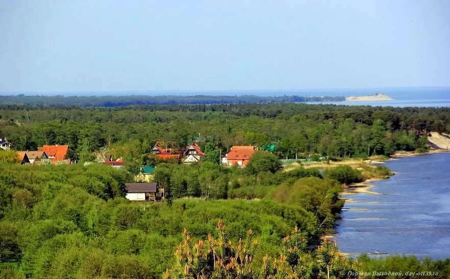 Поселок лесное калининградская область фото Онлайн-неделя Куршской косы