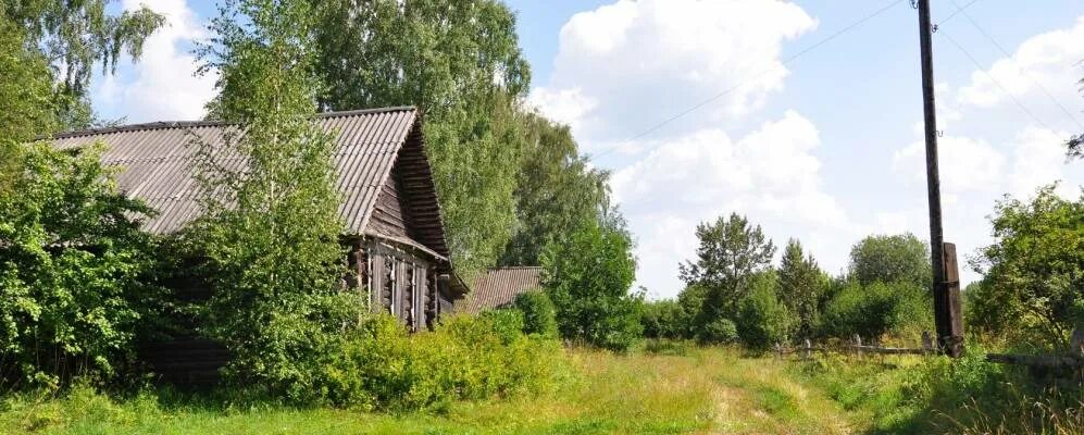 Поселок лесное тверской области фото Деревня Лемешиха Лесного района Тверской области