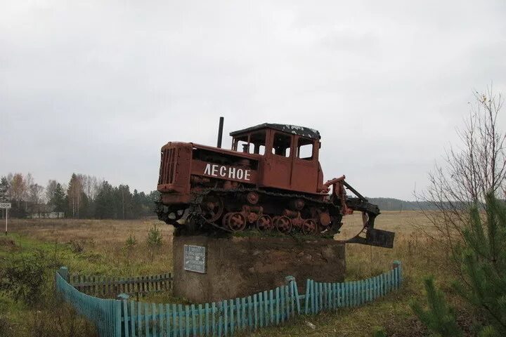 Поселок лесное тверской области фото "Дети лейтенанта Ильина": Лесное в Тверской области отмечает праздник - МК Тверь