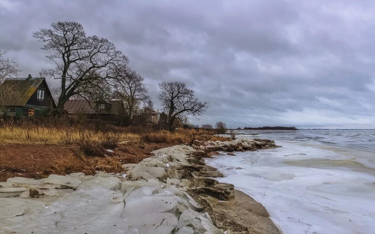 Поселок лисий нос санкт петербург фото Улица Морские дубки. / Посёлок Лисий нос / Автор: Наветный