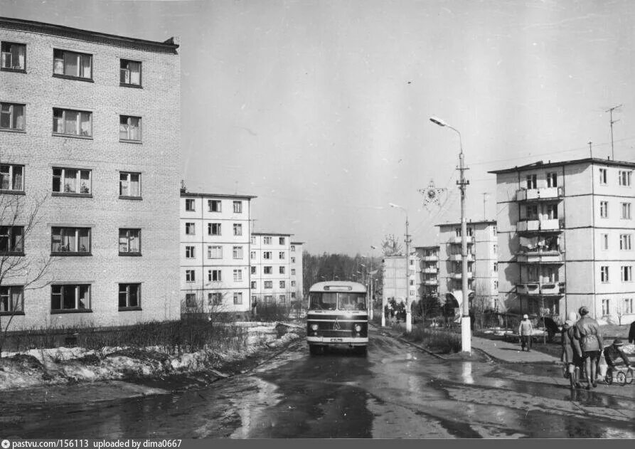 Поселок менделеево фото Институтская улица - Фотографии прошлого