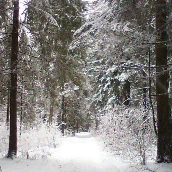 Поселок менжинец фото Менжинец - Village in Menzhinets