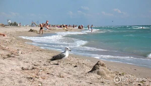 Поселок мирный крым фото Отзыв о Поселок Мирный (Крым) Для любителей пляжного отдыха, но не советую ехать