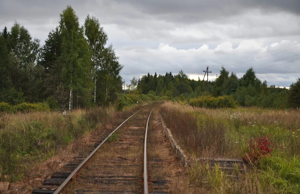 Поселок неболчи новгородская область фото Линия Неболчи - Окуловка на велодрезине, 2011.09.03-04: sebram - ЖЖ