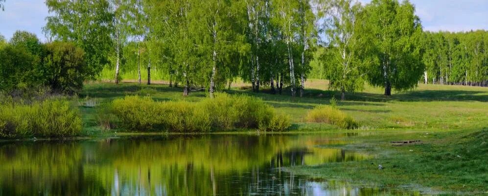 Поселок нижегородец нижегородская область фото Поселок Нижегородец