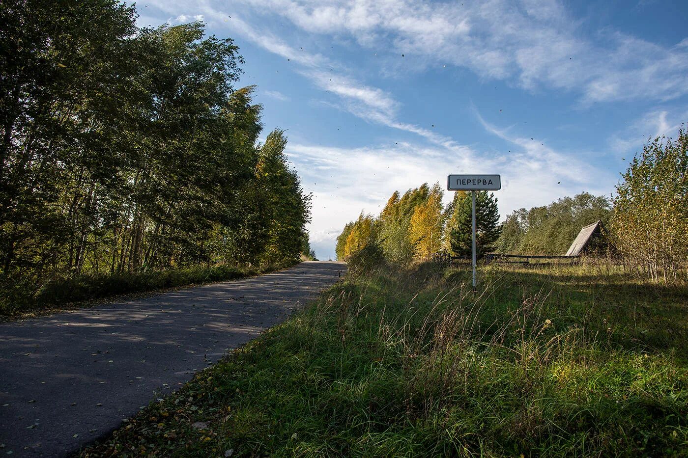 Поселок новгородское фото Перейти на страницу с картинкой