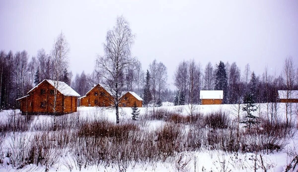 Поселок новгородское фото Recreation center "Novgorodskaya derevnya" Novgorod oblast: цены на проживание, 