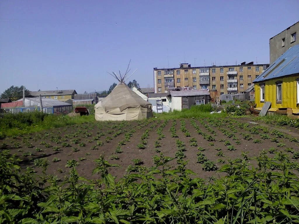 Поселок оссора фото Фото В Оссоре летом в городе Оссора