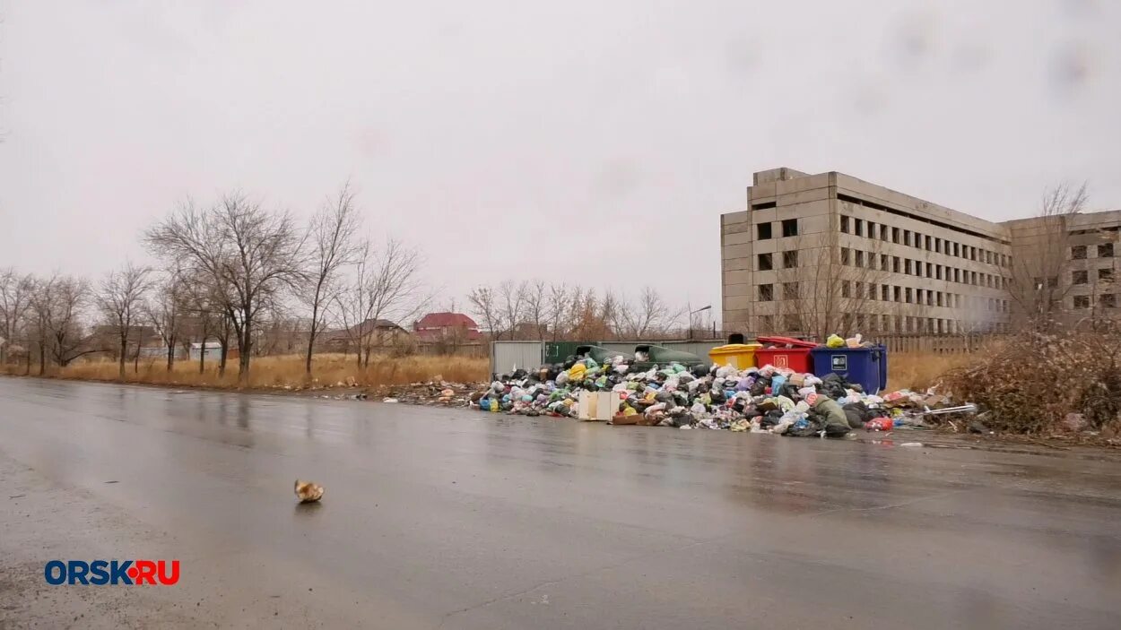 Поселок озтп орск фото Мусорная площадка на улице Андреева в Орске: образцово-показательная и отвратите